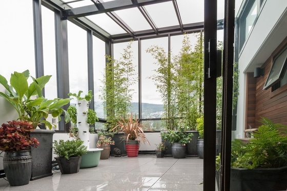 Gray Glass Sunroom Solarium Prefab Veranda with Aluminum Frame and Polygon Roof Molding