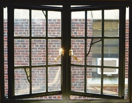Durable Steel Windows for Long Lasting Performance